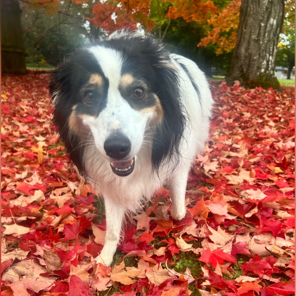 Meet your Posher, Jill